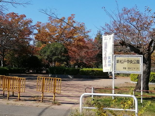 【新松戸】秋探しをするのにぴったりの癒やし公園・新松戸中央公園