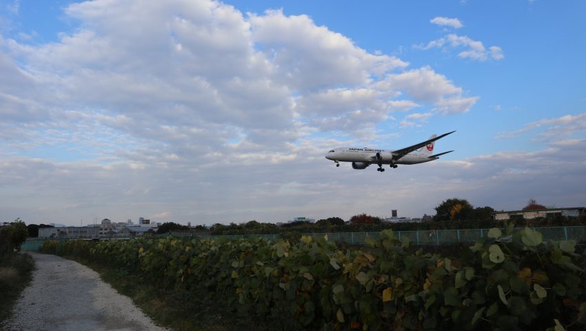 【豊中】飛行機に手が届きそう！人気撮影スポット「千里川土手」へ