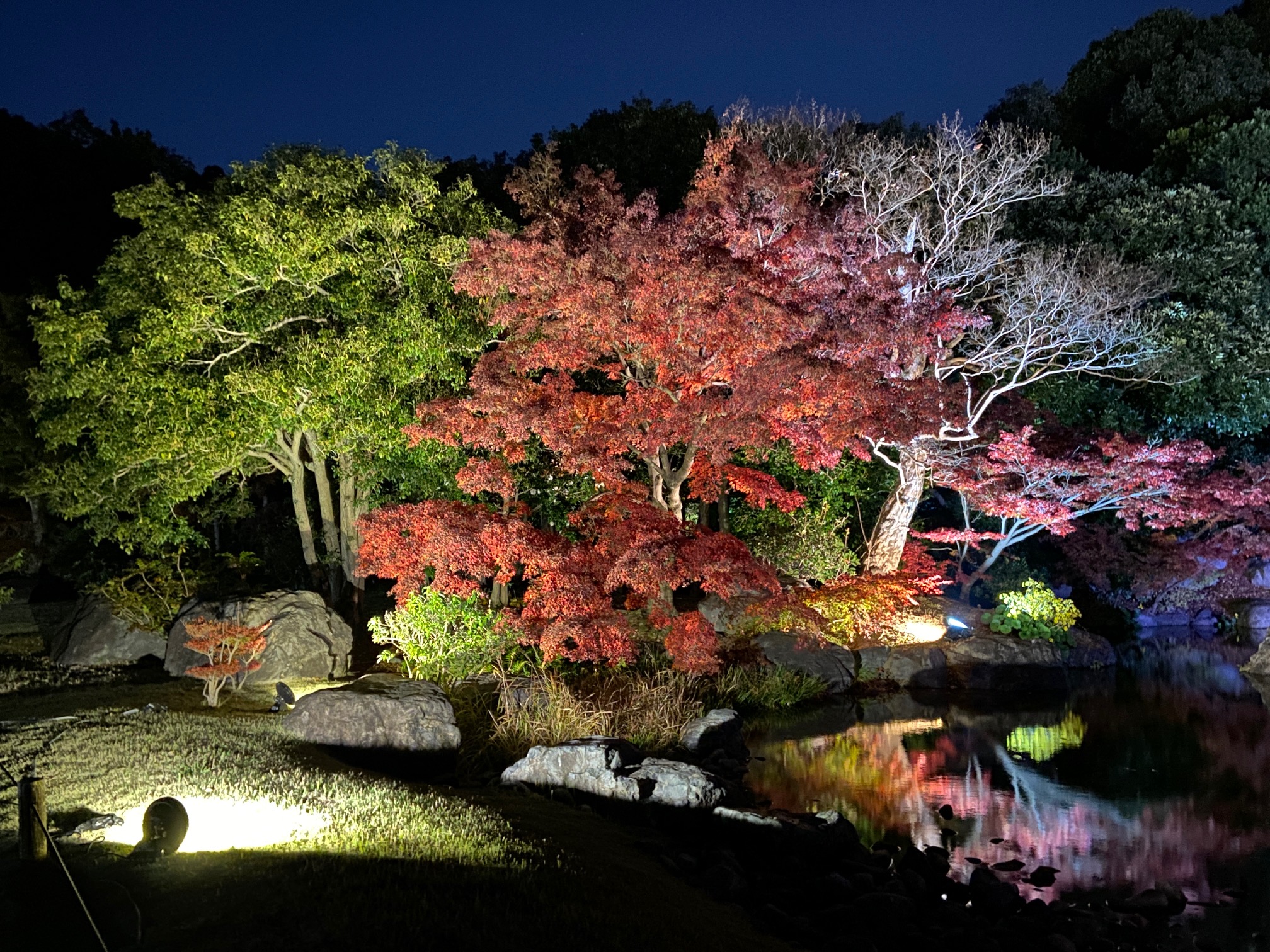 【吹田】秋かと思えばもう“冬”。万博記念公園の日本庭園で日本の四季を楽しみませんか