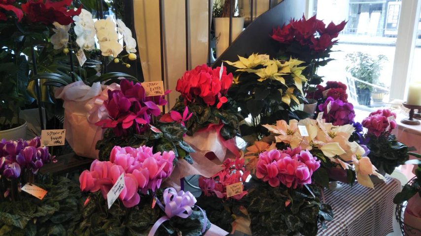 【豊中】クリスマスの彩りいっぱいお花屋さん「フラワーギフトSOSH」へ