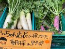 【吹田】桃山台ショッピングセンターの八百屋さんの野菜が安い！朝採れ野菜もあるなんて！