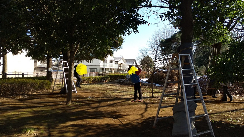 【柏】ワクワクわんぱくプレーパークin防災公園で自然と遊ぶ