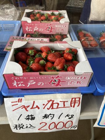 ジャム・加工用の苺を販売している日もあります