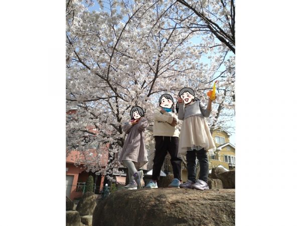 2021年3月29日、下原公園。中桜塚5丁目にある公園。お友達から桜がきれいとの評判を聞いて行きました