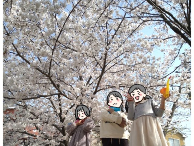 【豊中・池田】2022年桜の開花は？観賞スポットを過去写真からピックアップ！