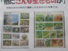 【柏】パネル展「柏にこんな生き物が」、植物・環境・昆虫の質問が出来る日もあるヨ