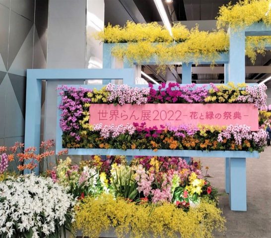 柏 二番街商店会の花屋さん 花武 店主が 世界らん展で快挙 まちっと柏