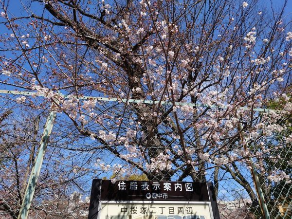 こちらも中桜塚「桜塚公園」。岡町商店街のアーケードを抜け南へすぐ。ぞうさんの滑り台がGood