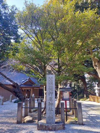 昭和10年（1935年）に県の天然記念物に指定された大榊は樹齢約1300年と推定されたことから、神明社の歴史の古さがうかがえます。現在、主幹は枯死し、若木が育成されています。