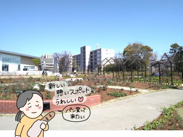 豊中 プールも人気のニノ切池公園に 憩える広場とバラ園ができていました まちっと北摂