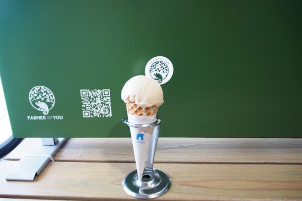 マダガスカルバニラのアイスクリーム！価格は500円です！