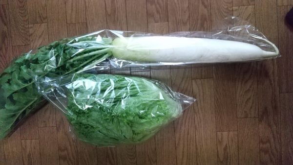 農菜土さんの野菜は美味しいです。収穫体験後は是非購入して見て下さい。