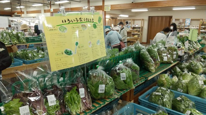 【箕面】岡山県美作の農産物直売所「彩葉みまさか　箕面彩都店」へ！またすぐ来たくなる