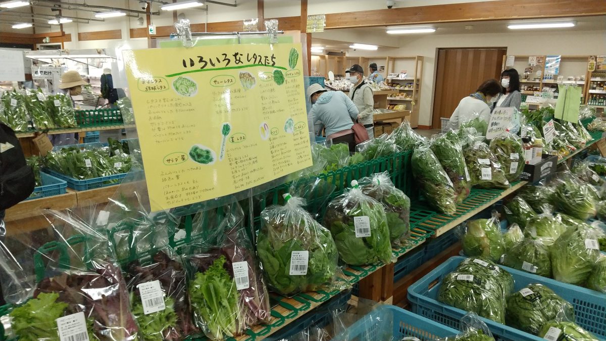 美作 彩 都