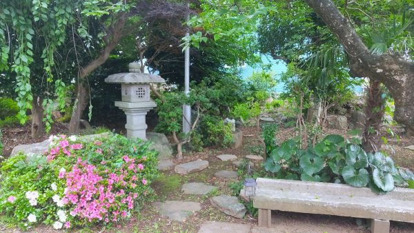 入り口を抜けるとどこか懐かしい雰囲気の日本庭園が広がります。