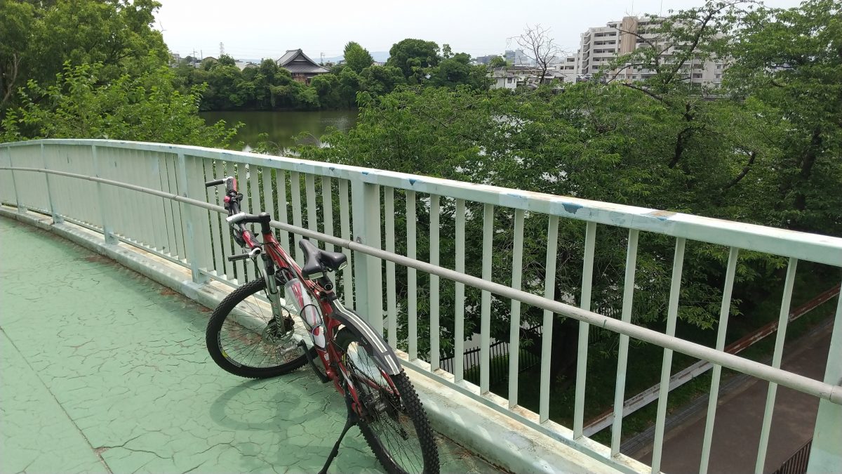 【豊中】マウンテンバイクの旅～服部緑地公園ー天竺川沿い～