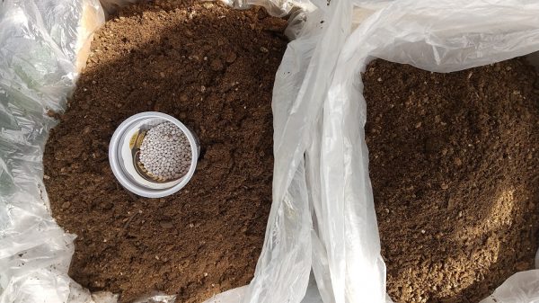 4.　化成肥料100ｇを培養土にかける　5.　移植ごてで、化成肥料と培養土をしっかり混ぜる