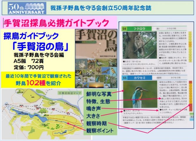 我孫子 探鳥ガイドブック 手賀沼の鳥 我孫子野鳥を守る会 編 の紹介 まちっと柏