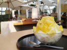 【吹田】ここはリゾート？江坂駅直結のカフェ「萠茶KIZASHI」で絶品かき氷を味わう