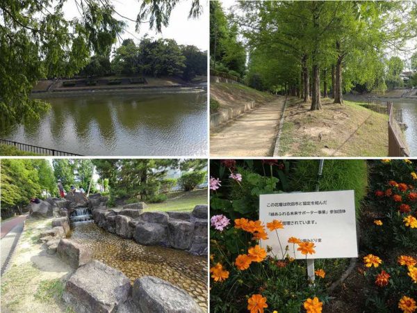 【写真】佐竹公園のようす。メタセコイヤの並木、小川、緑あふれる未来サポーター事業に参加する市民団体さんが手入れされてる花壇。