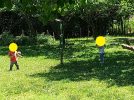 【柏】農業体験・水遊びが出来る　くりの木幼稚園　子育て交流