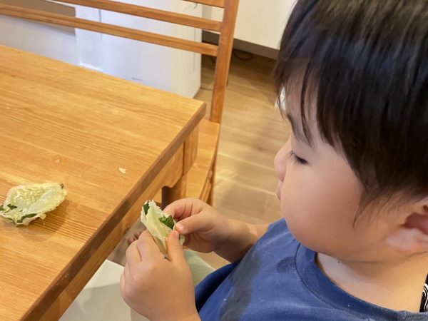 おかわかめ天ぷらを食べる息子