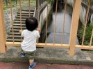 【松戸】子供と散歩にイチ押し！根木内公園に行ってきた！
