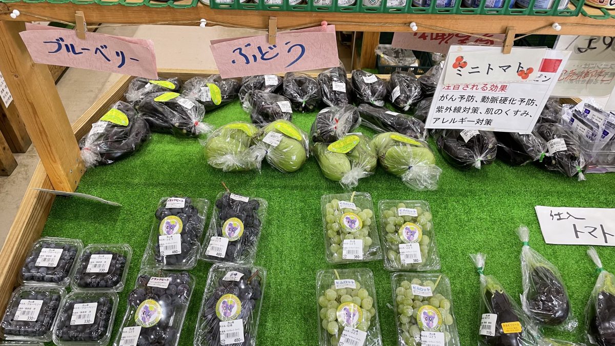 【流山】ニッチな野菜GET！農産物直売所「新鮮食味」レビュー