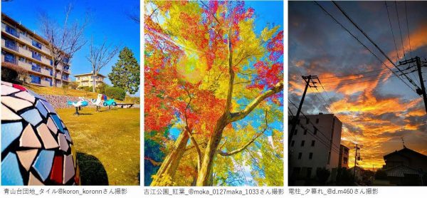【写真】吹田市公式Instagramカレンダー フォトコンテスト「すいカレ」への応募作品から。