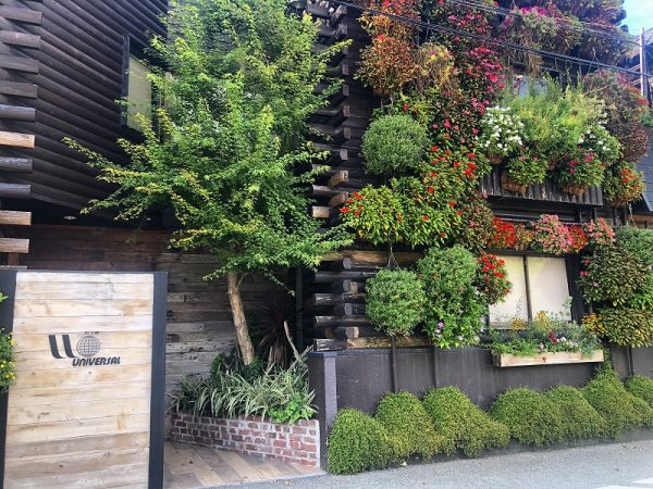 運営会社「㈱ユニバーサル園芸社」大阪本社の壁面。一面に植物が！さすがです。