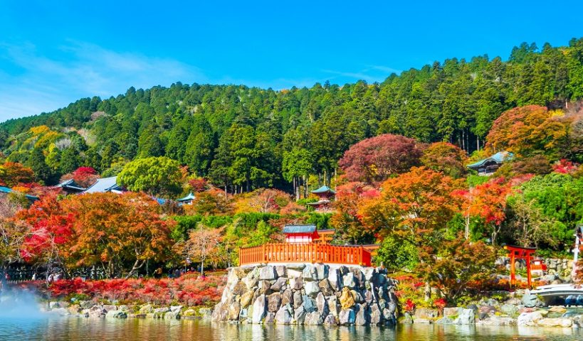 【北摂】箕面・豊中・吹田 2022年紅葉の名所ガイド①｜まちっと北摂