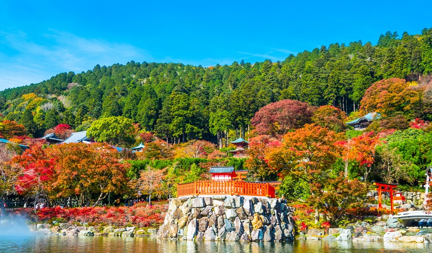 北摂 箕面 豊中 吹田 22年紅葉の名所ガイド まちっと北摂