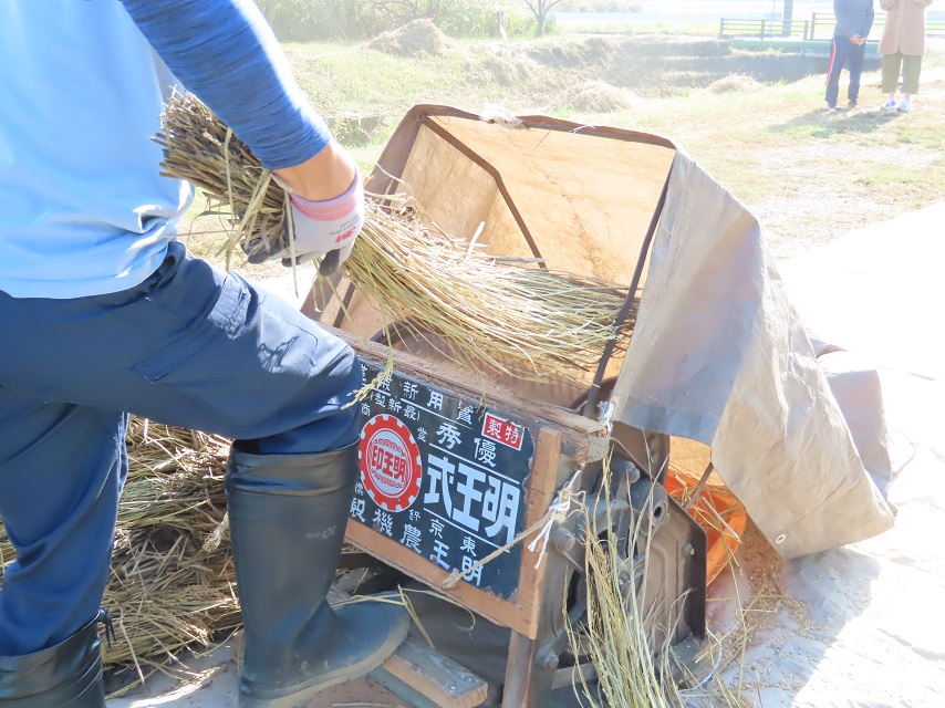 最新入荷 農機具ショップ笹川 坪刈 種籾脱穀機 TS-3H 脱穀機 脱こく機 種籾脱穀