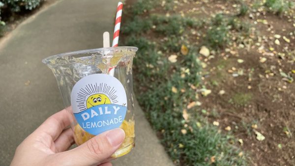 【DailySurf】レモネードコーラは写真に残す前にパパが飲みきってしまいました。中に入ってるスライスレモンも美味しい！