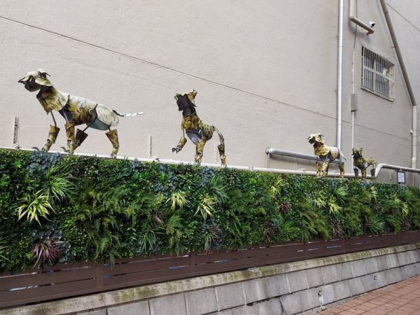 《隠し砦の犬》の4匹の迷彩犬に遭遇！ 小柳町通りを歩く方々のなかには、展示に気づいて見ていらっしゃる方も多いようです。