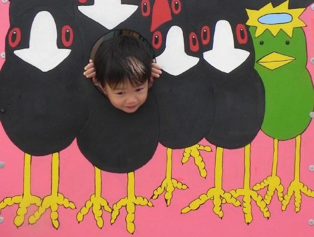 【我孫子】日本最大級の鳥の祭典♪　ジャパンバードフェスティバル（JBF）2022　告知