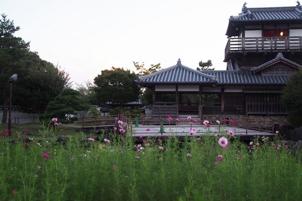 四季折々のお花が咲き誇る「池田城跡公園」