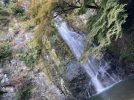 【箕面】箕面公園の紅葉が見頃！日本の滝100選「箕面大滝」と滝道も大満喫