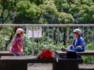【箕面】箕面山！桜広場展望台をめざして、ほんのちょっぴり山歩き！