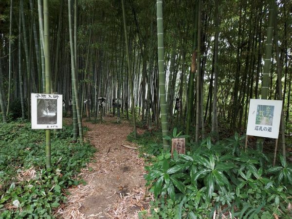 豊かな自然をいかして、後期では、竹林の中に野外展示も。