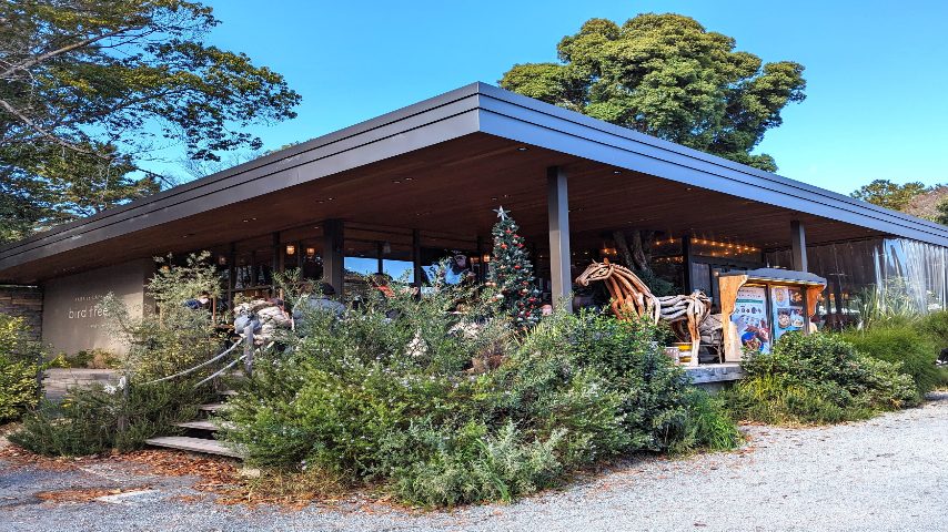 【吹田】千里南公園のカフェ「バードツリー」で冬限定メニューが始まっています！