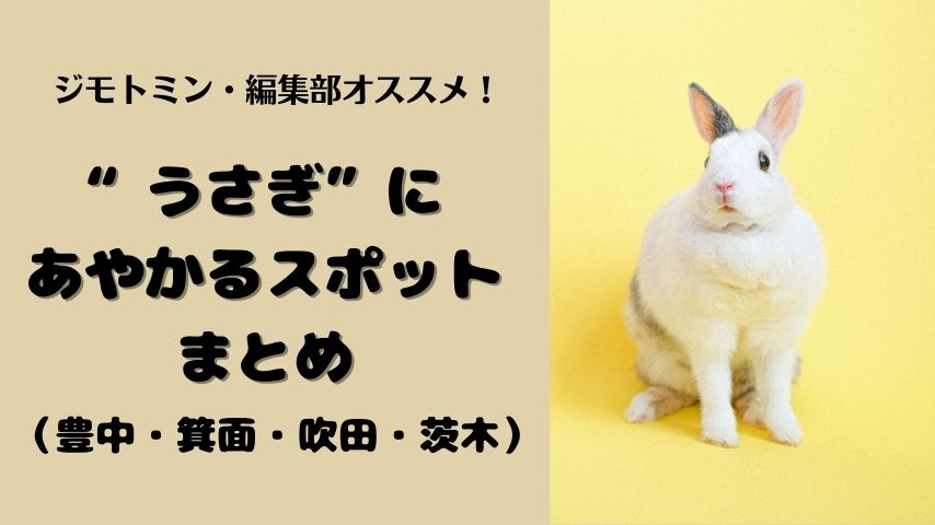 【豊中・箕面・吹田・茨木】今年は「うさぎ年」！ジモトミン・編集部がオススメする「うさぎにあやかるスポット」まとめ