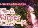 【箕面】ライトアップやバレンタインコンサート♪「箕面の森 Winterプロムナード」2月11日～3月12日開催！