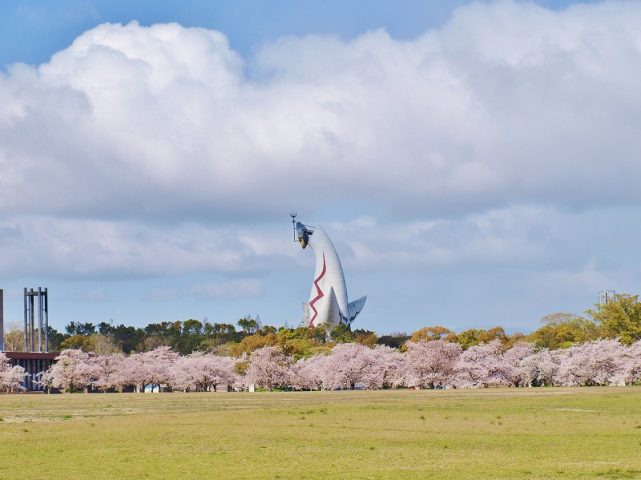 【吹田】約5,500本の桜が咲き誇る！万博記念公園で「桜まつり」3月17日（金）～4月9日（日）開催。3年ぶりのライトアップは3月31日（金）から