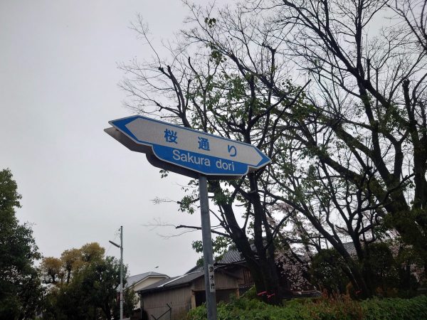 茨木桜通り