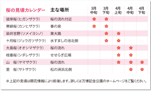 万博記念公園桜の見ごろカレンダー