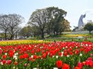 【吹田】色とりどりに咲きそろう「万博記念公園 チューリップフェスタ」4月1日（土）～16日（日）開催