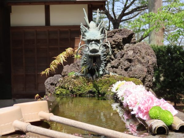 手水舎のお花が素敵