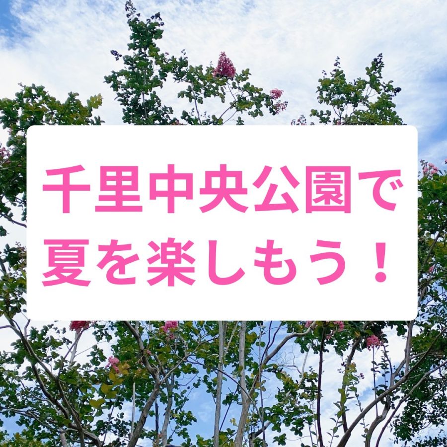 【豊中】千里中央公園で夏ならではの遊びを楽しもう！