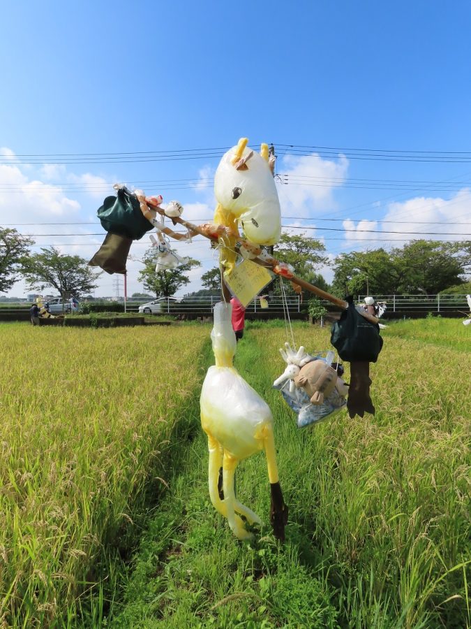 子ども部会：トラスト山に来て欲しい動物達
